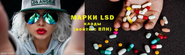 прущие грибы Аркадак