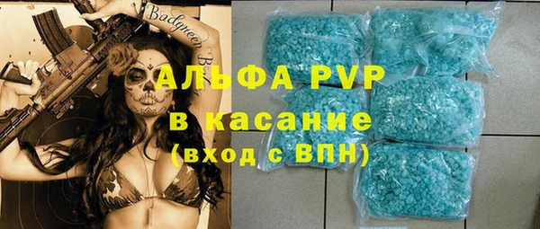 прущие грибы Аркадак