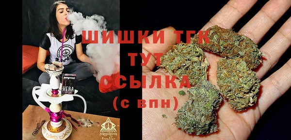 дживик Арсеньев