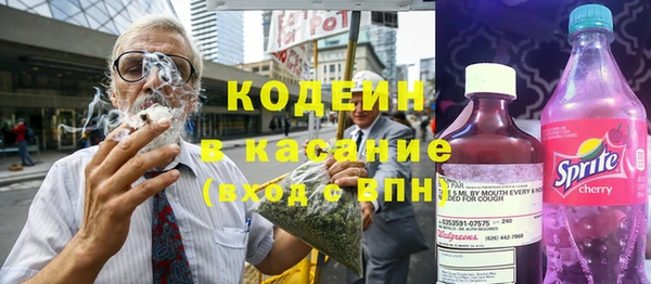 прущие грибы Аркадак