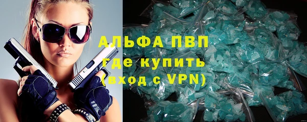 прущие грибы Аркадак