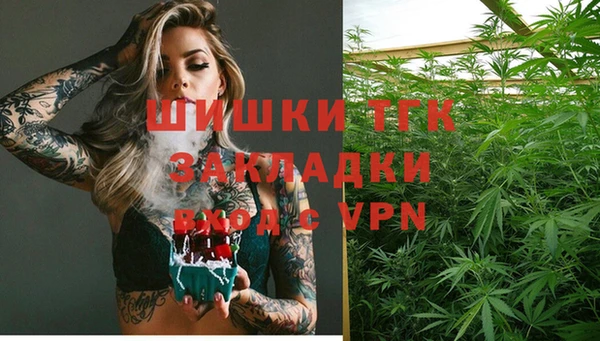 прущие грибы Аркадак