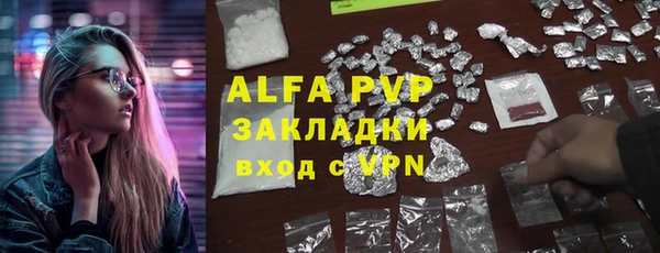 прущие грибы Аркадак
