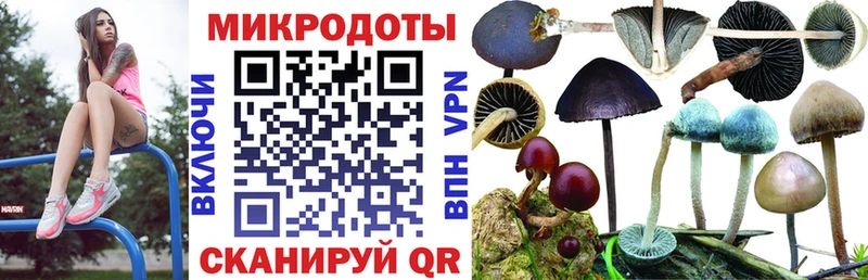 Псилоцибиновые грибы Magic Shrooms  Солнечногорск 